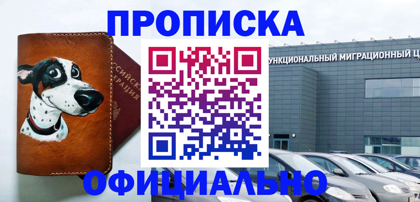 временная прописка в Ногинске